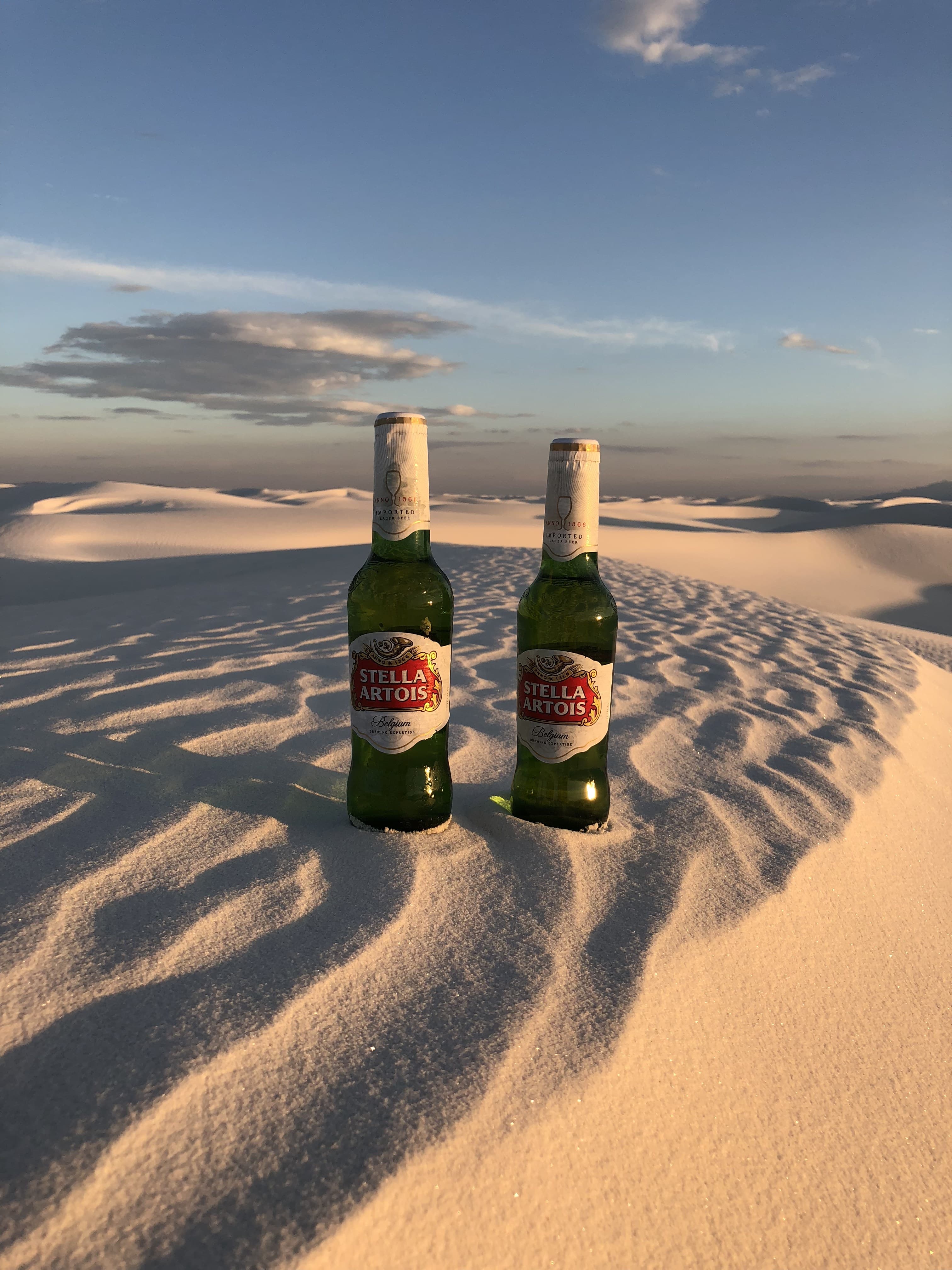 Two Stella Artois bottles planted in the sand atop the dune
